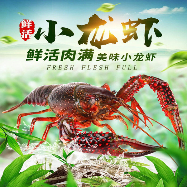 优质小龙虾