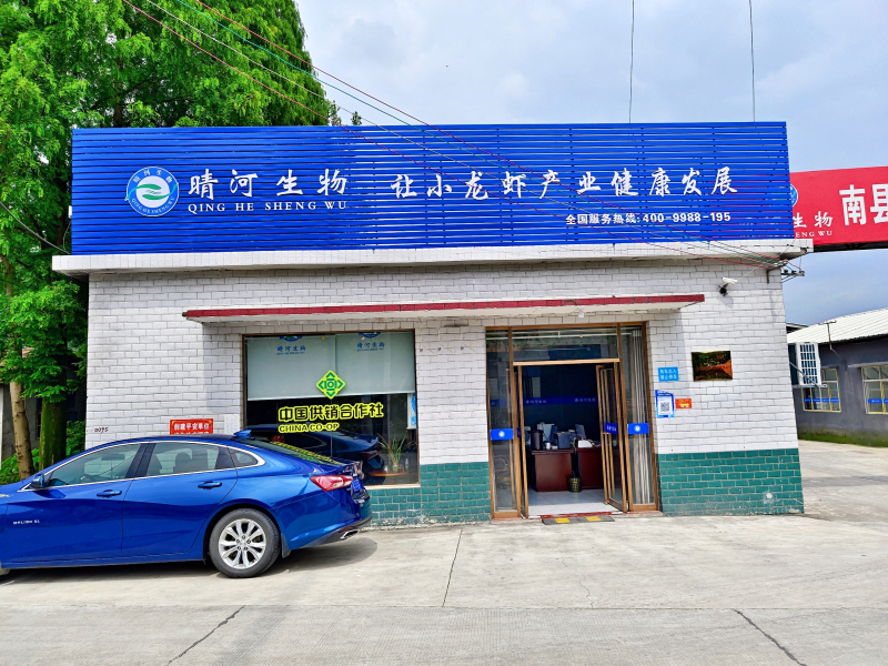 企业展示
