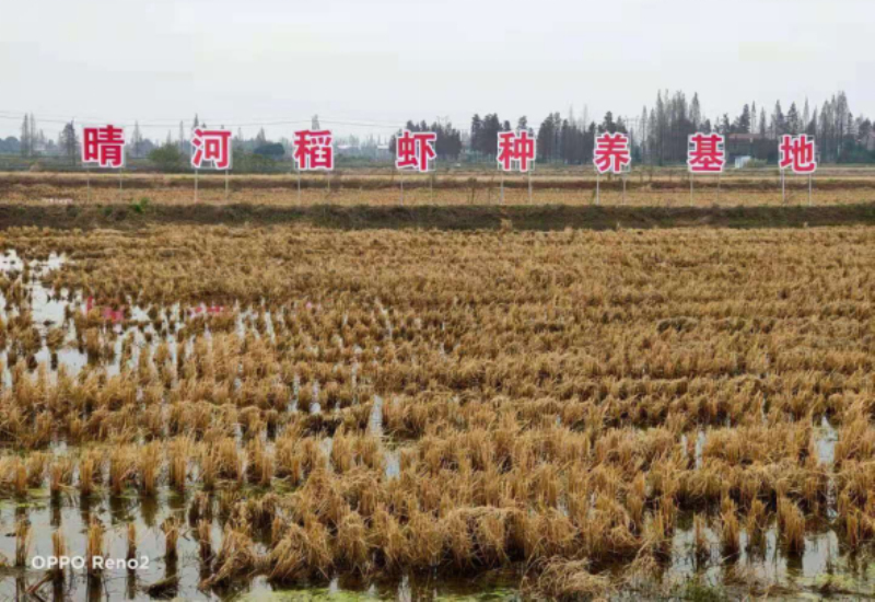 企业展示