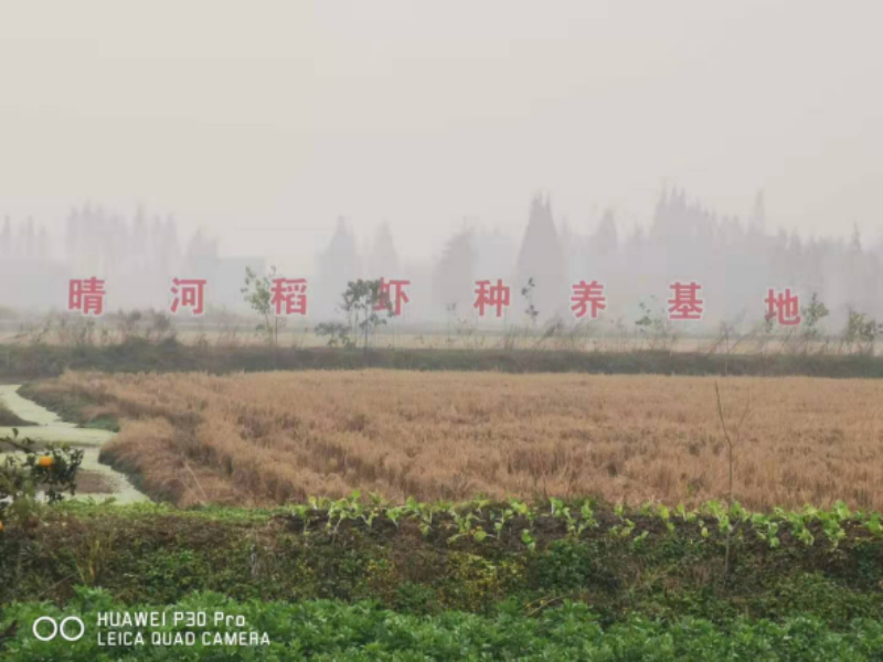 企业展示