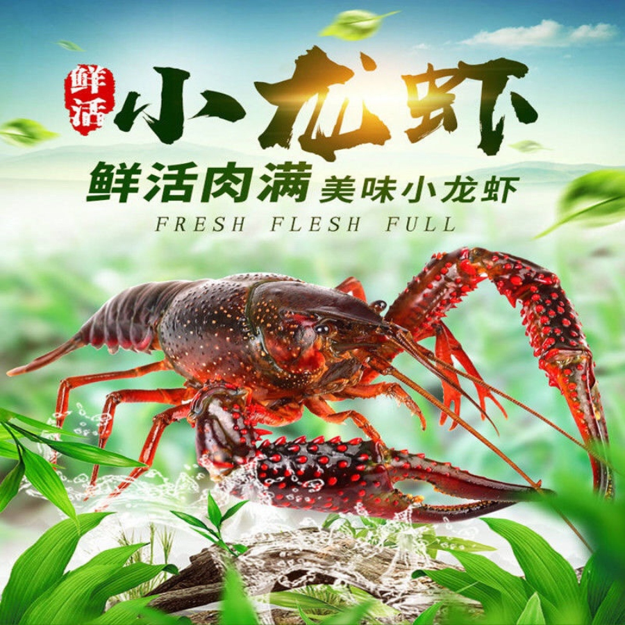 优质小龙虾