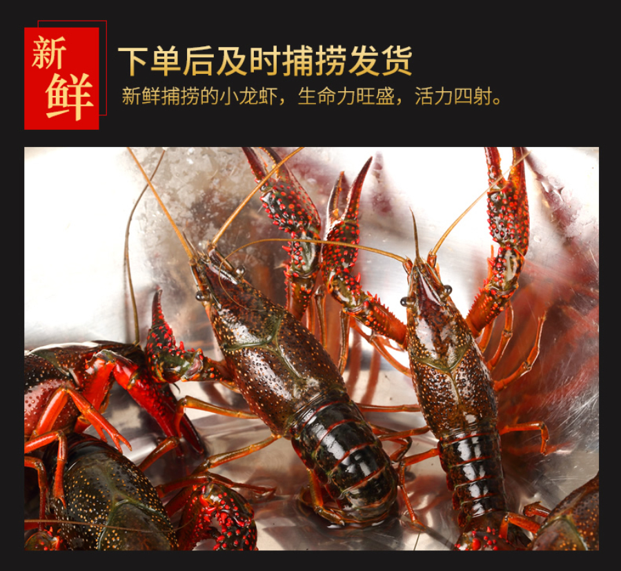 优质小龙虾